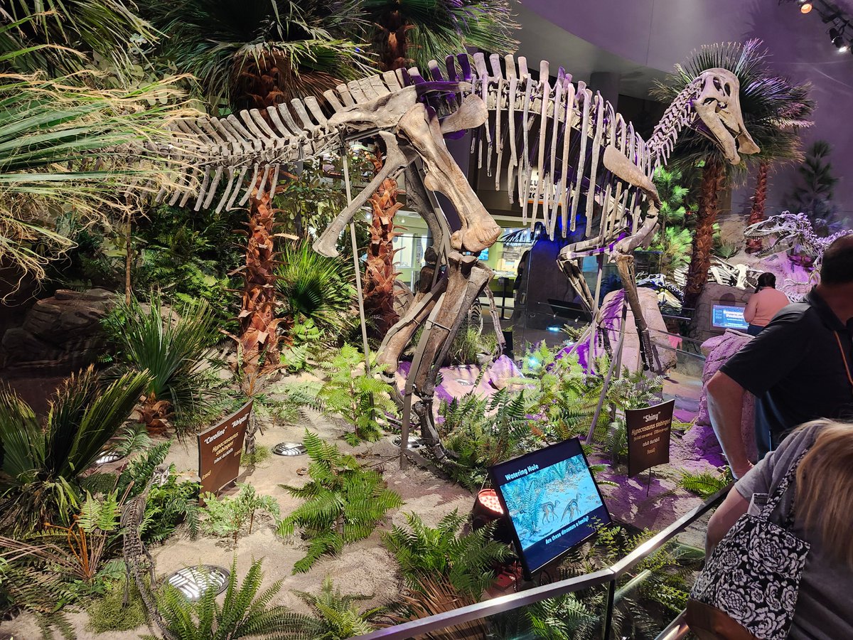 Andrew Jones tweet media