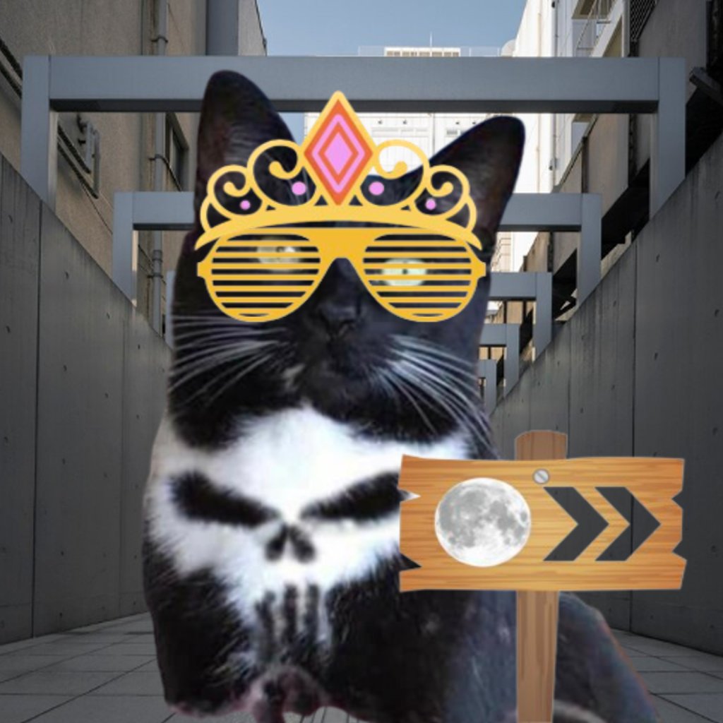 skullcatsol's tweet photo. Token creator supply has been fully burnt, next stop Moon?

https://t.co/1hezFFydSm https://t.co/utjwhB6pJw