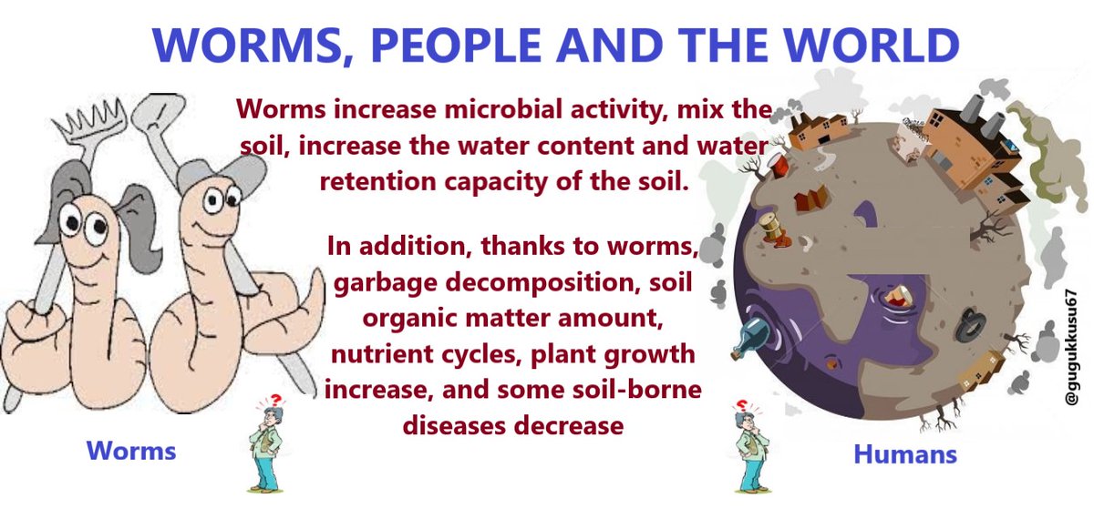 gugukkusu67's tweet photo. Which one deserves more respect? Worms? (Some!) humans?
#VeBetterDAO #MonthlyEarthDay #EarthCleanup #LitterPicking #VeFam #human #ecology #environment #soil #sustainability #responsibility #respect #ecologicalintelligence https://t.co/ofpoSwSwsF