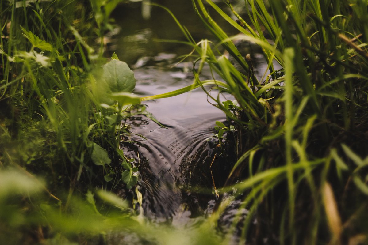 AnTaisce's tweet photo. An Taisce Nitrates Case referred to Europe. 
https://t.co/bXZQtmfT4X

 #antaisce #nitrates #waterquality #environment #europeancourt https://t.co/Q6YVrkQBwp