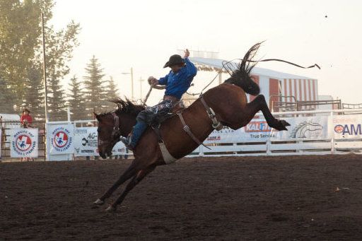 We ride again, Medicine Hat! 
Stampede celebrations kick off with gates opening today at noon on the Medicine Hat Exhibition &amp; Stampede grounds! 
We've included a full list of our favourite stampede activities on our site: buff.ly/3zhZzYE
#medhat #thishappenshere