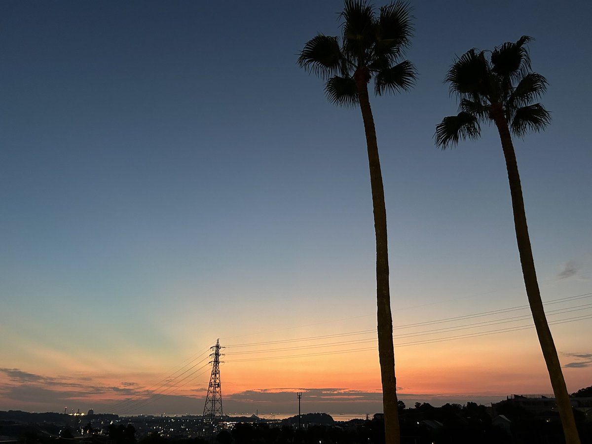 Mir ShEraz tweet media