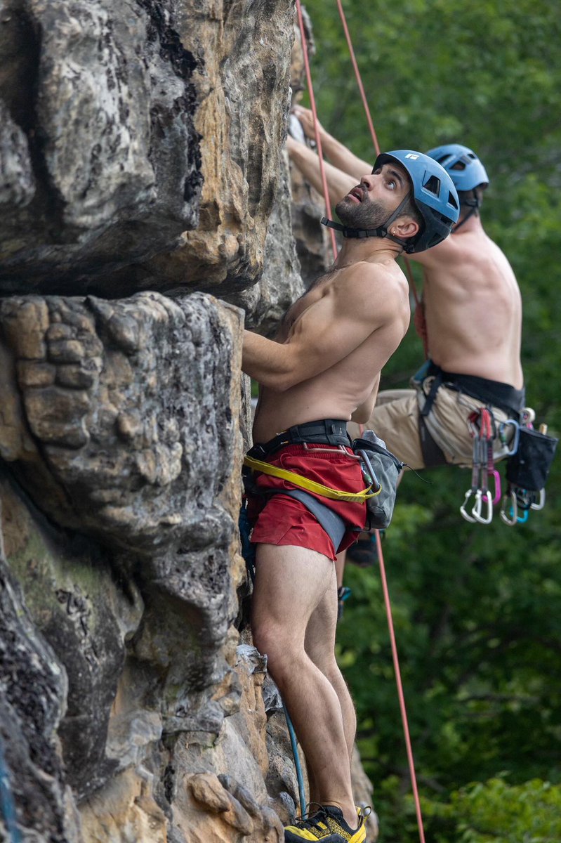 Nicholas_G tweet media