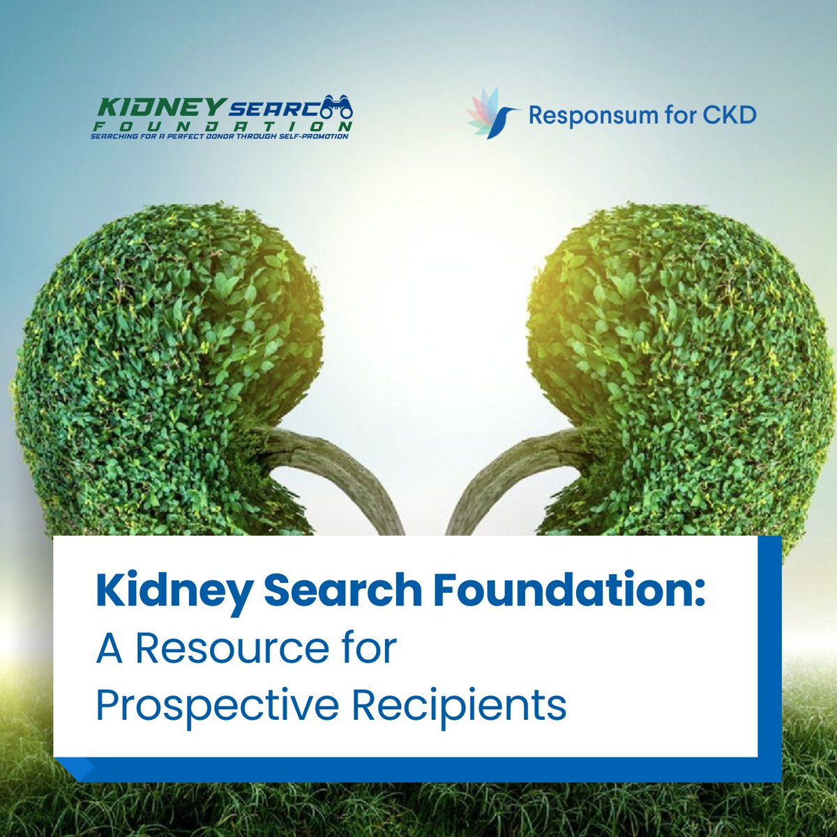 Responsum for Chronic Kidney Disease tweet media