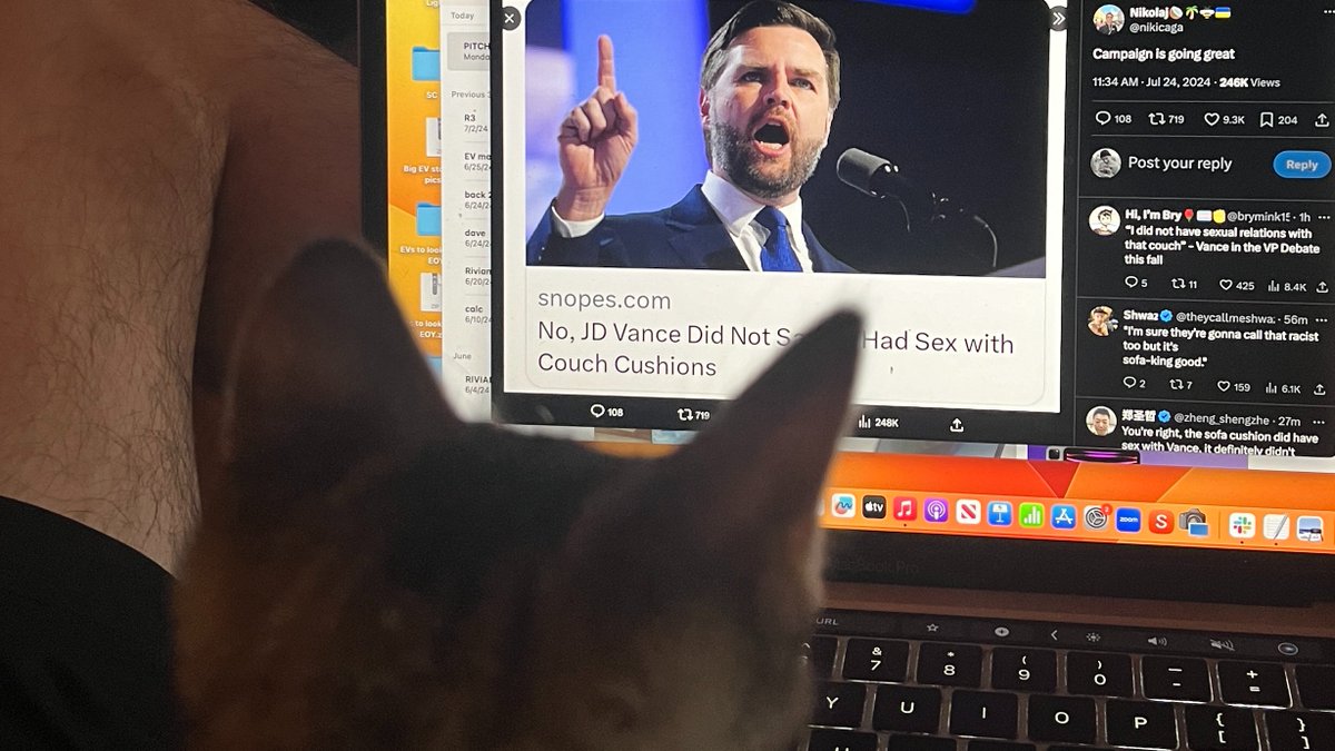 Try as I might, I cannot shield my son from the horrors of  the 2024 presidential election