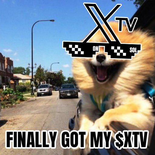 XTV_Project's tweet image. Have you secured your $XTV yet?
#XTV coming soon don't get left behind!