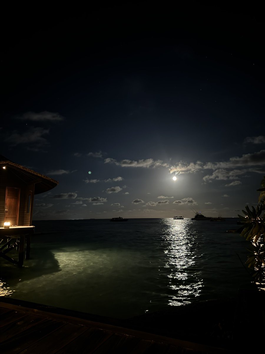 littleglazer's tweet photo. 🌕✨☁️🌊 https://t.co/1kQjNlzoGm