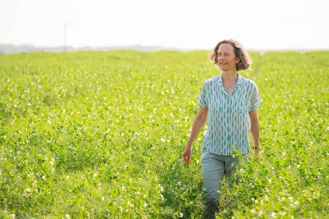 CDC_USask's tweet image. Dr. Sabine Banniza has been selected as one of seven 2024 Most Influential Women in Canadian Agriculture!
Listen to her live IWCA interview. 
agwomen.ca/iwca-series-sa…
