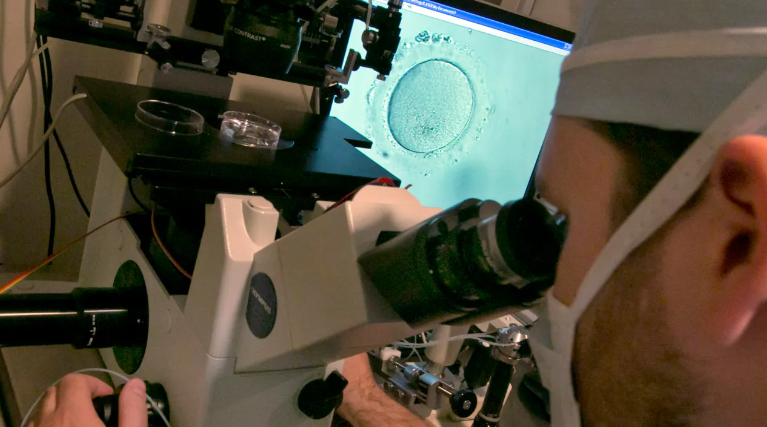 NM_ObGyn's tweet photo. Kara Goldman, MD (@karagoldmanMD), medical director of Northwestern Medicine Fertility Preservation, joins @WGNRadio to discuss the implications of the recent #Alabama state Supreme Court ruling that #FrozenEmbryos created through #InvitroFertilization are considered children under state law and how this ruling will impact patients across the U.S. during their #FertilityTreatments. https://t.co/sRsi3DMbkJ
