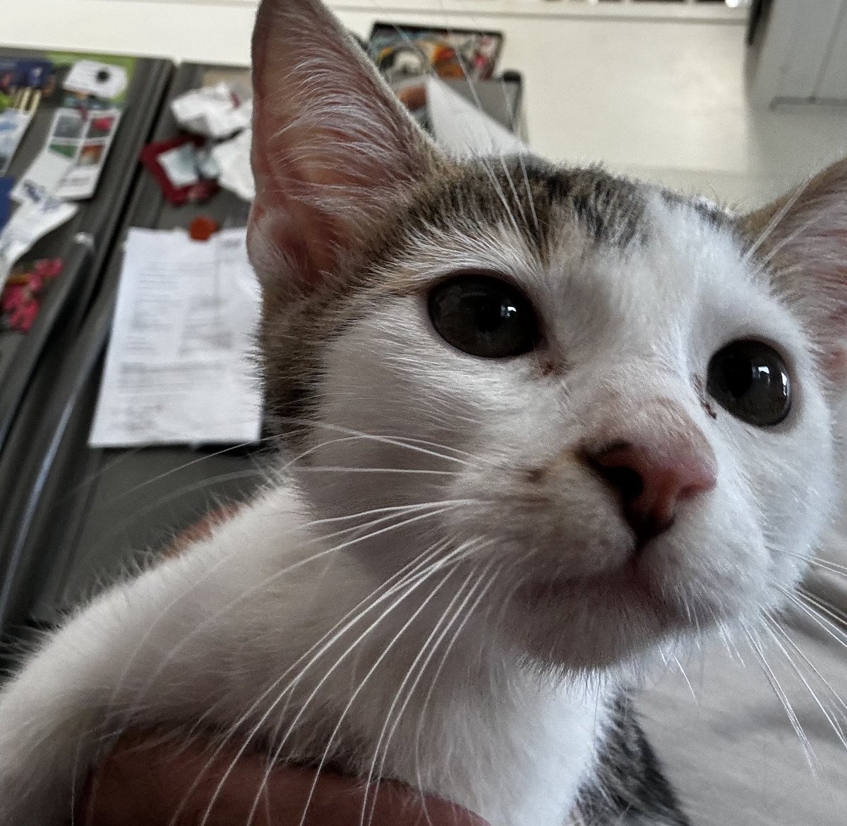 Wer bist denn Du da?