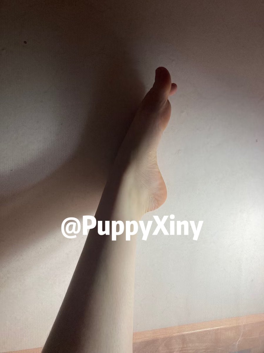 PuppyXiny's tweet photo. 裸足 肉丝 黑丝 哪个好看？评论关注抽三个付邮送原味丝袜 #足控 #足交 #原味 #黑丝 https://t.co/CVWr6swmI1