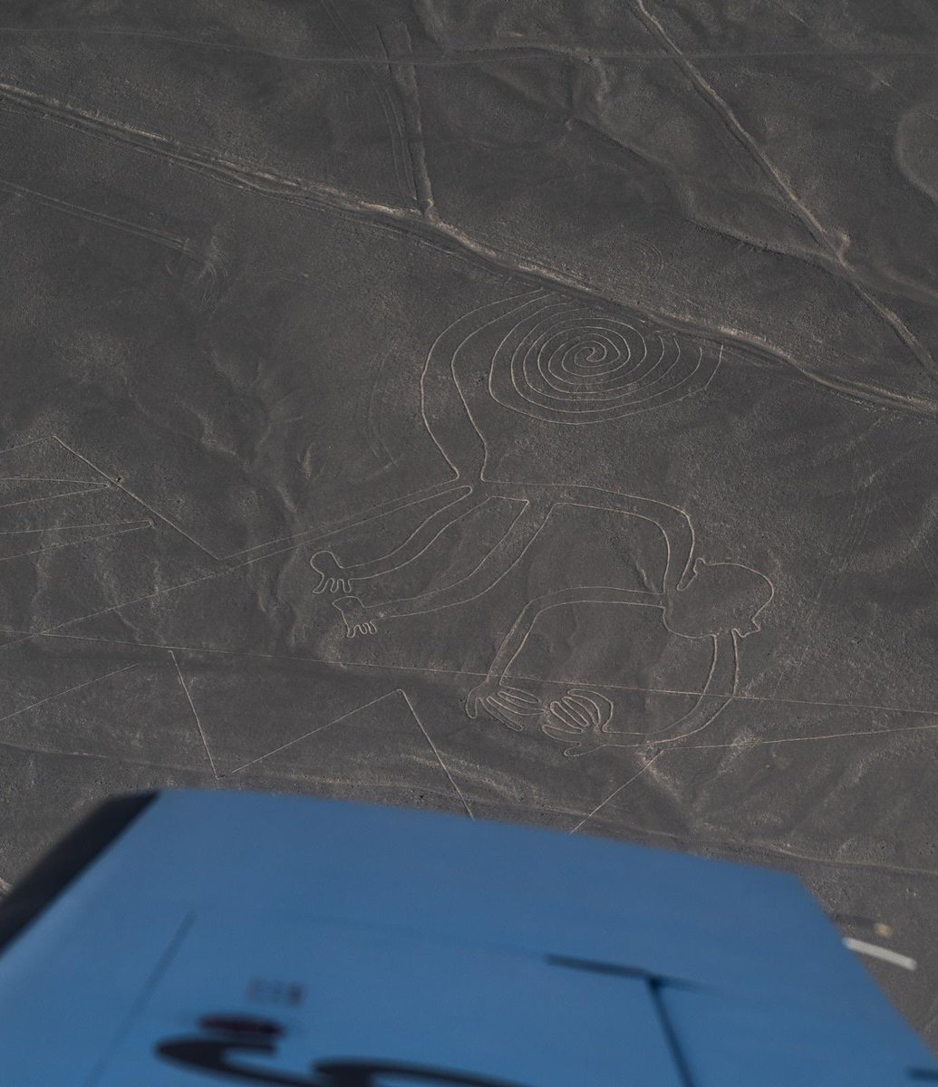 Jane Ohlmeyer tweet media