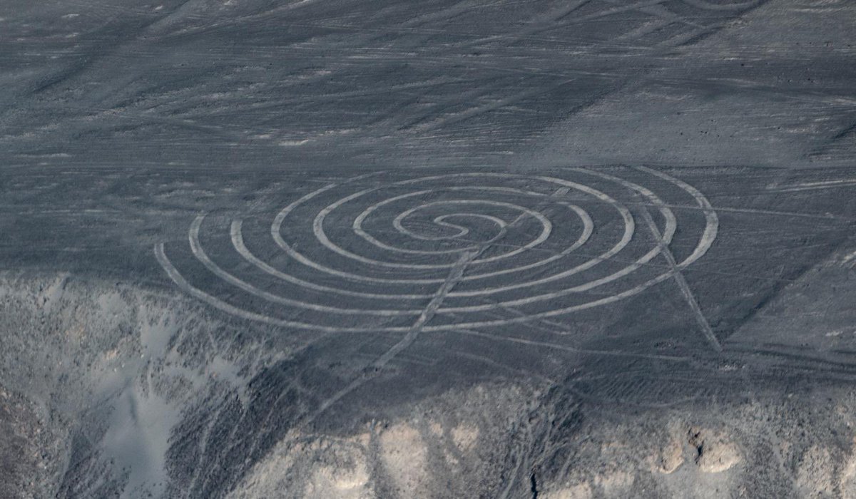 Jane Ohlmeyer tweet media