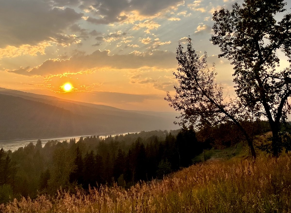 Reflecting on the <a href="/WHO/">World Health Organization (WHO)</a> #REACH Agenda for #ClimateChange and #Health - I drove in over 900km of #wildfire #smoke in BC today. How is this linked to the #global #polycrisis for our #health, #environment and #economy? We need urgent #climate #action and looking forward to future