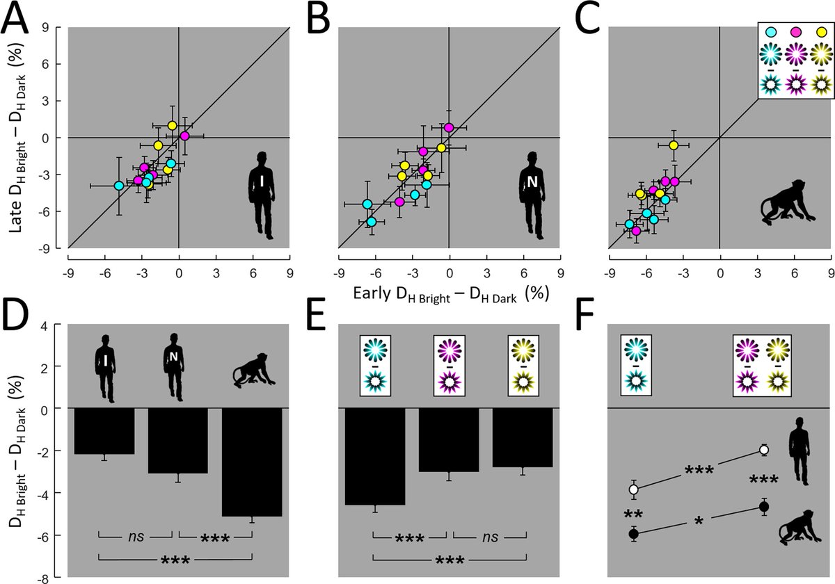 Laeng (@brunolaeng) on Twitter photo Macaques’ eye pupils 👁️constrict to <a href="/AkiyoshiKitaoka/">Akiyoshi Kitaoka</a> ‘s bright illusions and especially when they are blue🌀 published in the Journal of Vision <a href="/ARVOJOV/">Journal of Vision</a> see open access article: jov.arvojournals.org/article.aspx?a… Macaques’ eye pupils 👁️constrict to <a href="/AkiyoshiKitaoka/">Akiyoshi Kitaoka</a> ‘s bright illusions and especially when they are blue🌀 published in the Journal of Vision <a href="/ARVOJOV/">Journal of Vision</a> see open access article: jov.arvojournals.org/article.aspx?a…