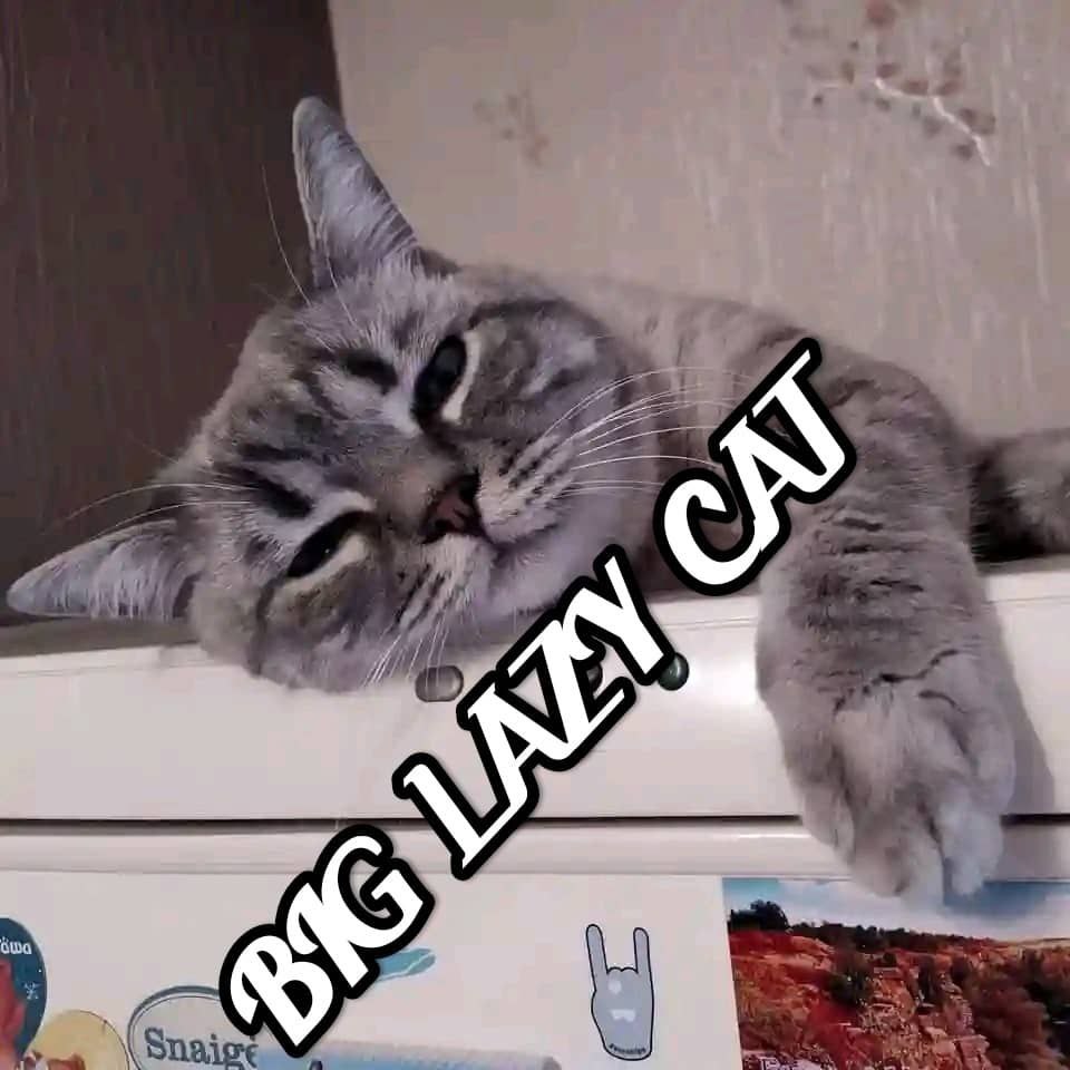 LazyCatcto's tweet photo. $Lazy Cat  is the ticker

C1riRReChs34UJdNjBkFreq3GF9Vpr3WvjmZenVPfxqb https://t.co/NFoJTC9ehm