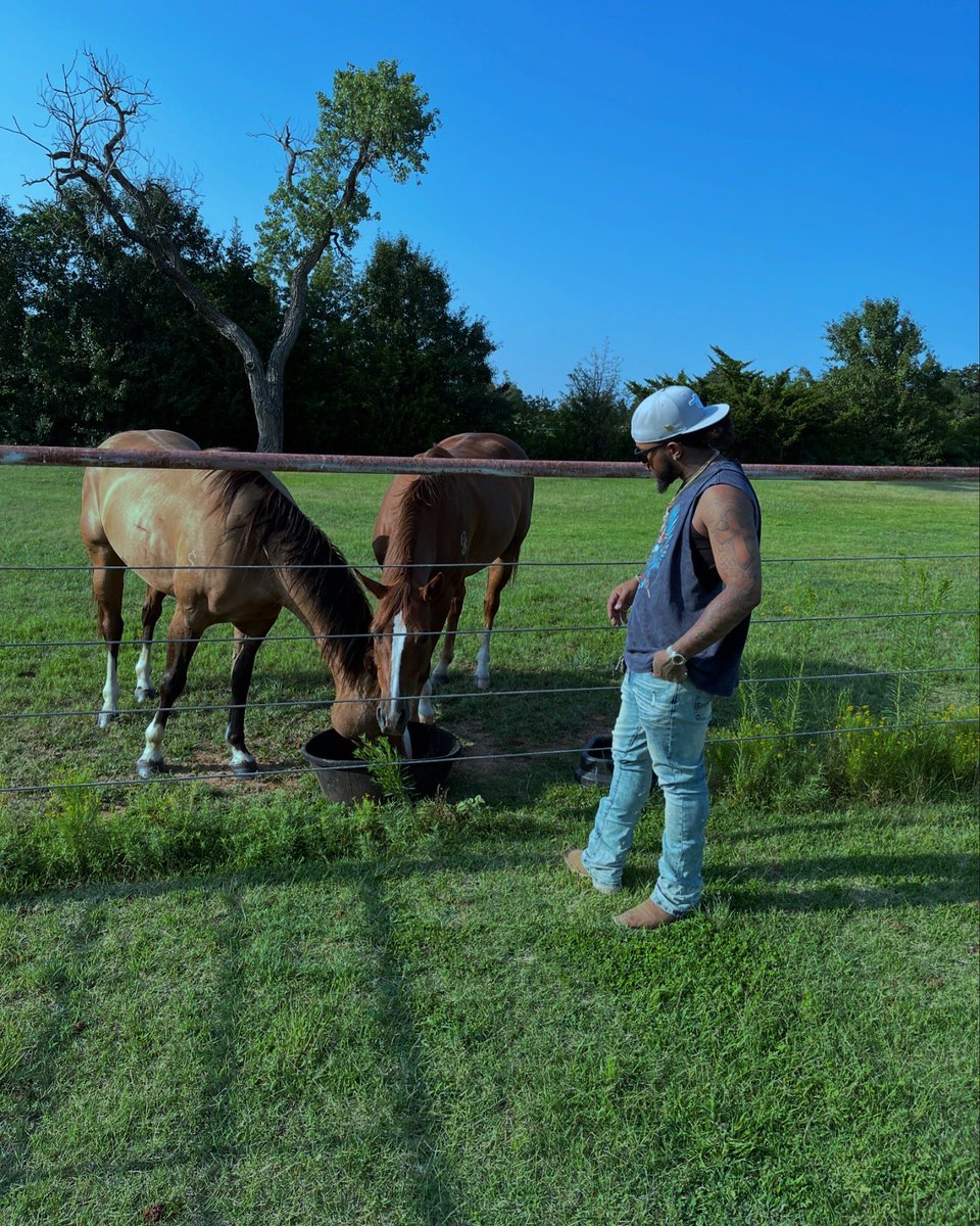 TripleMZay's tweet photo. They tought us the wrong meanin' of "Came from humble beginnings." 🛤️🪶🐴💎 https://t.co/Hw6RcHefiV