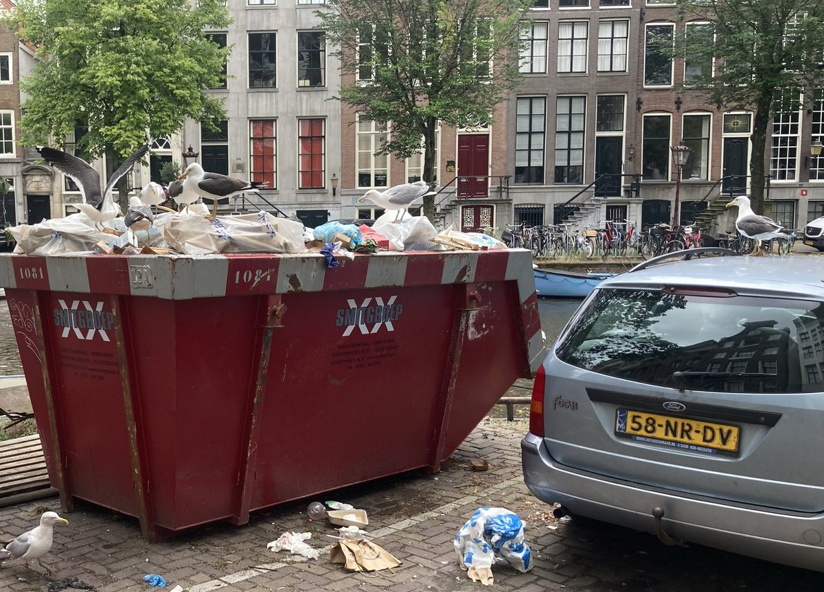 ThisAmsterdam's tweet photo. #Amsterdam is a filthy city. Rich, gorgeous and full of crap https://t.co/pN5LCCiHXb