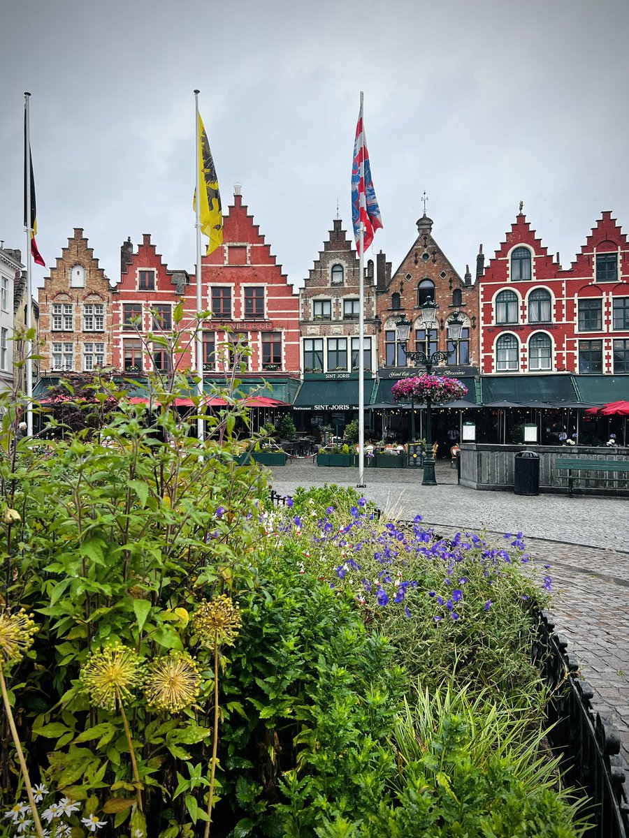 mmcclendon93's tweet photo. While in Amsterdam we took a quick trip to visit beautiful Brugge, Belgium 🇧🇪 #LionsAtPlay #RHLions @ReedyLions #traveler #BelgiumGP https://t.co/44JNuInPNe