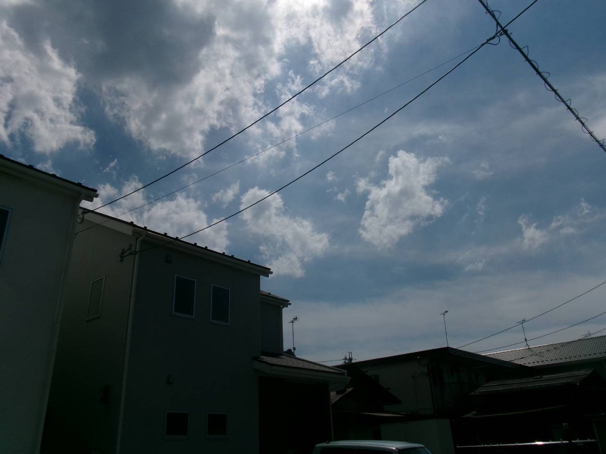 ぷりんorもか tweet media