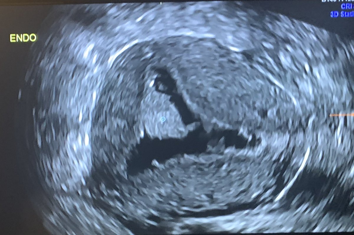 starsleeps tweet media