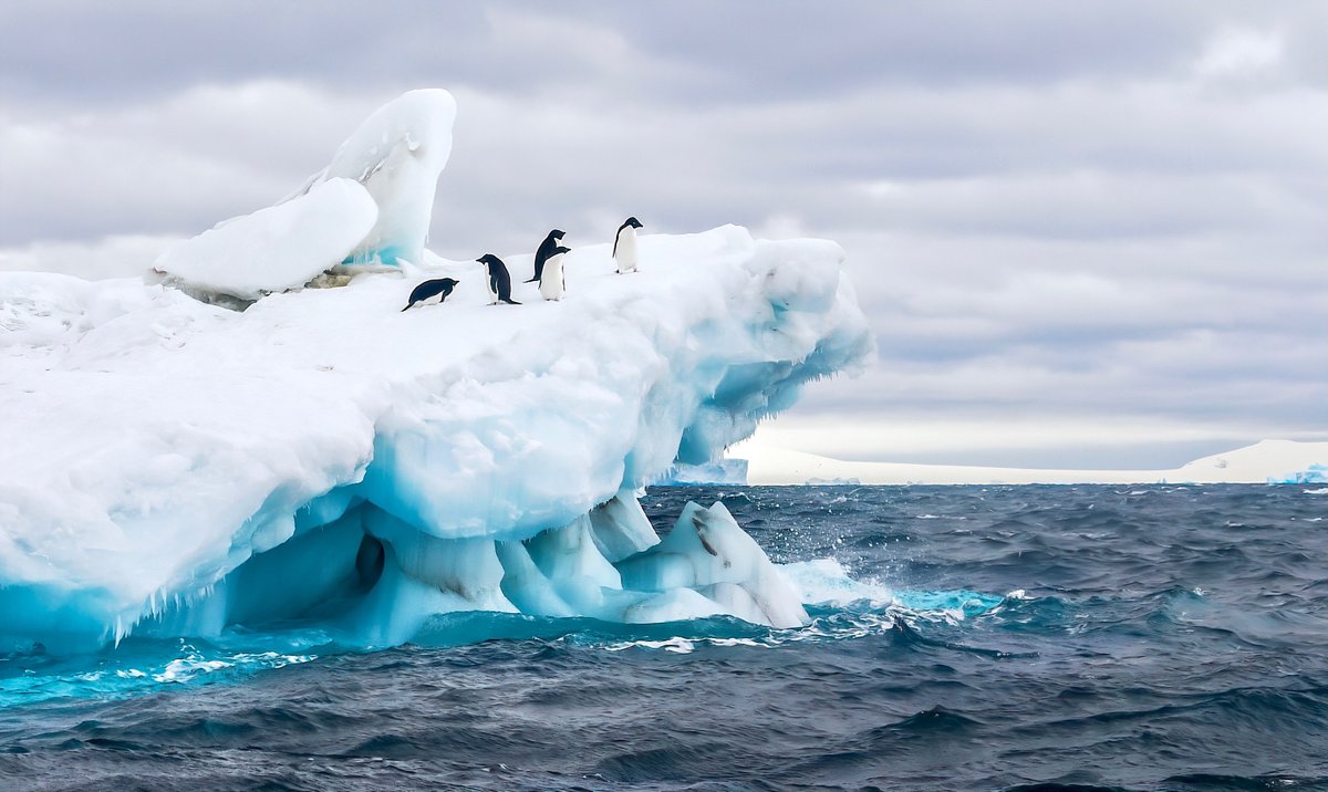 Flanders Marine Institute - VLIZ (@vliznews) on Twitter photo Today, new study with <a href="/VLIZnews/">Flanders Marine Institute - VLIZ</a> contribution out in <a href="/ScienceAdvances/">Science Advances</a>: science.org/doi/10.1126/sc…. The international team led by <a href="/DongYuanxu/">yuanxu dong</a> from <a href="/ueaenv/">UEA School of Environmental Sciences</a> <a href="/PlymouthMarine/">Plymouth Marine Lab</a> and <a href="/GEOMAR_en/">GEOMAR_en</a> showed that, based on #eddycovariance flux measurements, the summer Southern Ocean is likely to be Today, new study with <a href="/VLIZnews/">Flanders Marine Institute - VLIZ</a> contribution out in <a href="/ScienceAdvances/">Science Advances</a>: science.org/doi/10.1126/sc…. The international team led by <a href="/DongYuanxu/">yuanxu dong</a> from <a href="/ueaenv/">UEA School of Environmental Sciences</a> <a href="/PlymouthMarine/">Plymouth Marine Lab</a> and <a href="/GEOMAR_en/">GEOMAR_en</a> showed that, based on #eddycovariance flux measurements, the summer Southern Ocean is likely to be
