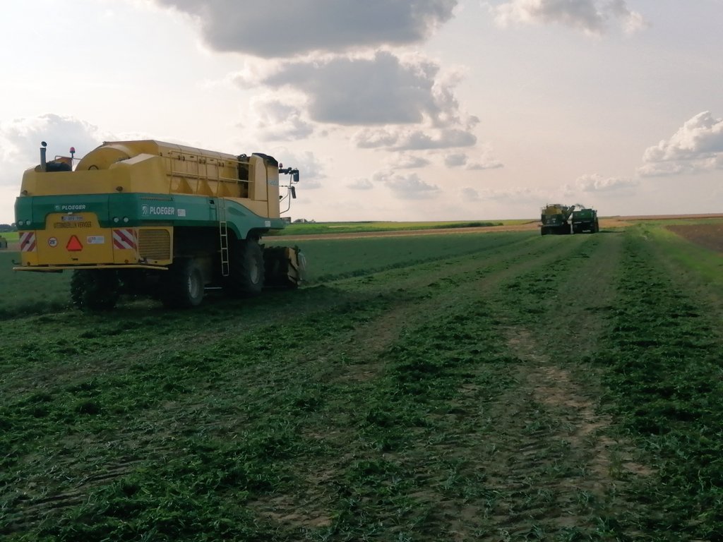 Blijft indrukwekkend, een team van reuzen... Begin van erwtenoogst voor Regenacterre #pois#peas#peace#oogst2024