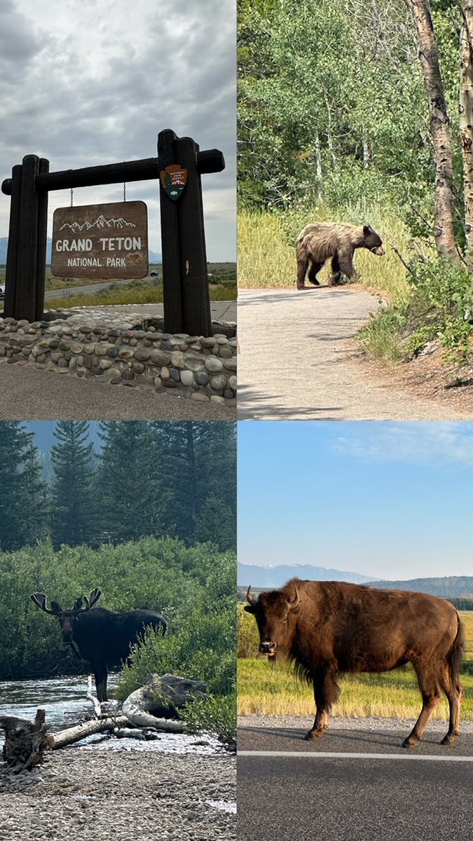 UTexas NMBL (@utexasnmbl) on Twitter photo What a GRAND time in the Tetons last week at the inaugural Frontiers of Human Performance Meeting! We had invigorating discussions, spent time in nature, and made some friends along the way. 🦬🏔️🫎
Many thanks to the <a href="/WuTsaiAlliance/">Wu Tsai Human Performance Alliance</a> for making this happen. What a GRAND time in the Tetons last week at the inaugural Frontiers of Human Performance Meeting! We had invigorating discussions, spent time in nature, and made some friends along the way. 🦬🏔️🫎
Many thanks to the <a href="/WuTsaiAlliance/">Wu Tsai Human Performance Alliance</a> for making this happen.