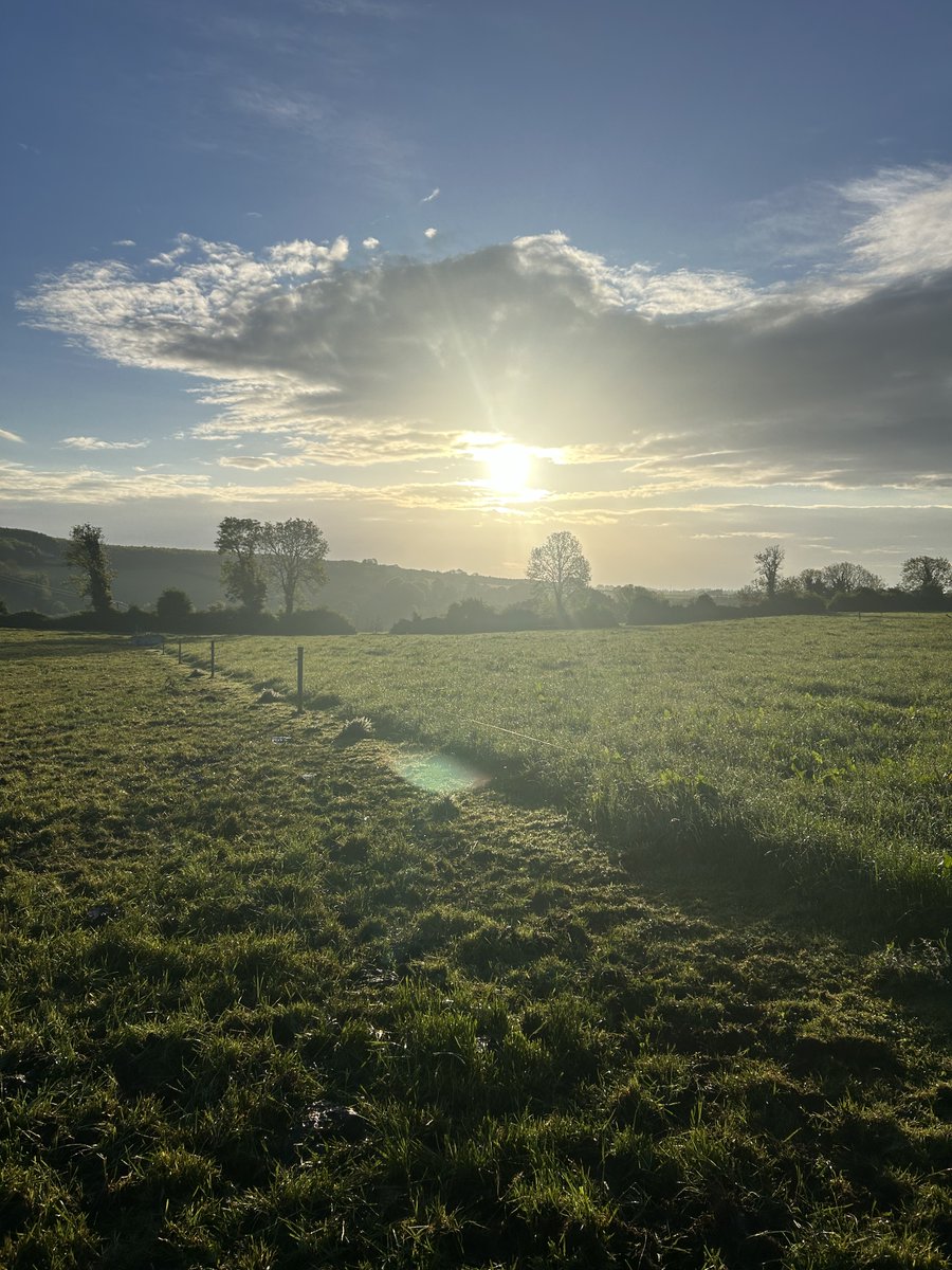 We were delighted to receive funding from the Department of Agriculture, Food and the Marine for our project entitled Farming Minds. This project will develop and test the effectiveness of a psychological intervention for farmers to target prevention and early intervention.