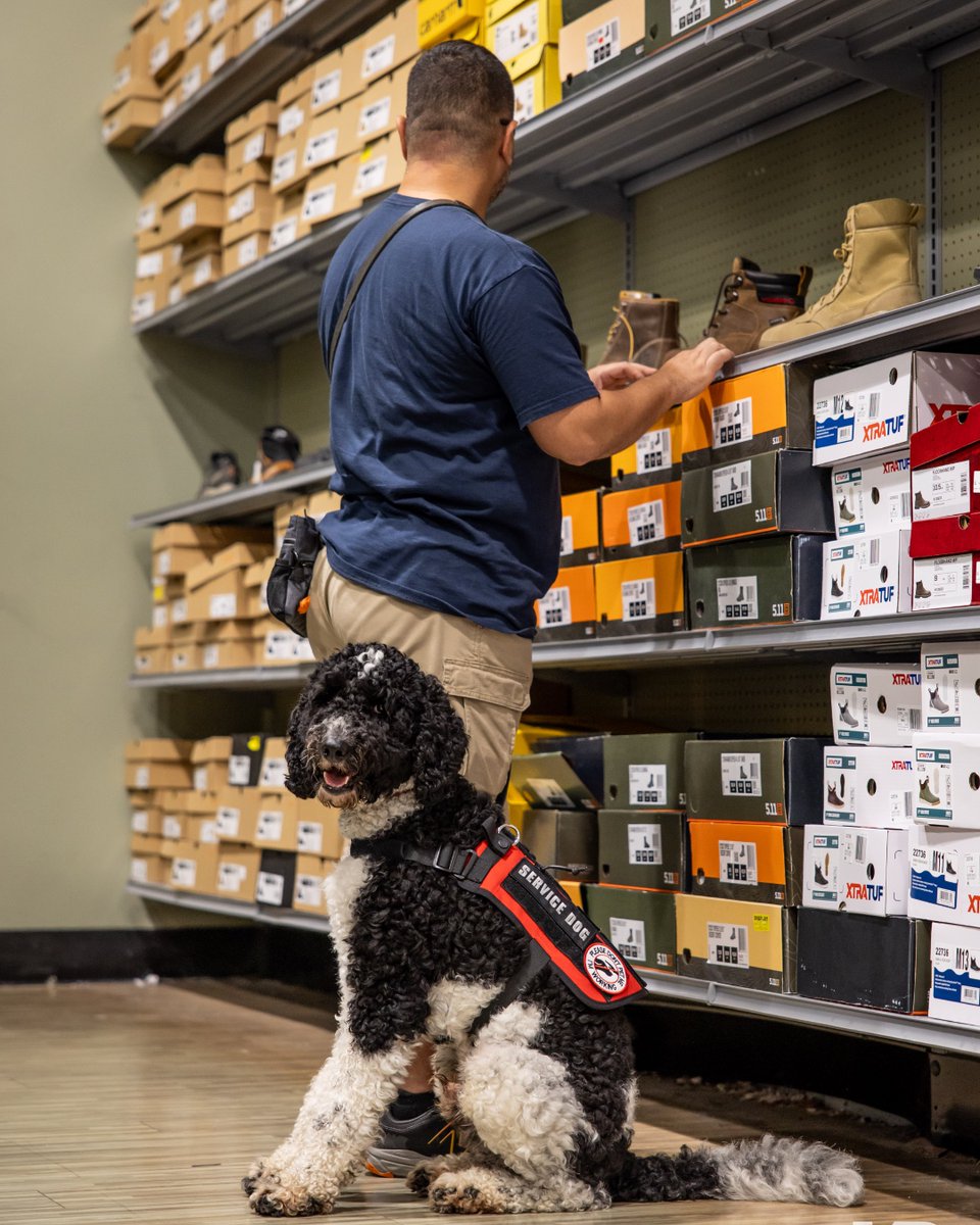 K9s For Warriors (@k9sforwarriors) on Twitter photo Tomorrow is ๐๐ง๐๐๐ช๐๐ฉ๐๐ค๐ฃ ๐ฟ๐๐ฎ!
"I've laughed more in these last few weeks with my Service Dog by my side than I have all year," says July class #Warrior, grinning.
Watch graduation on YouTube livestream: ๐๐น๐ผ๐ฟ๐ถ๐ฑ๐ฎ @ ๐ฑ ๐ฝ.๐บ. ๐๐ง โก๏ธ bit.ly/July24Graduatiโฆ Tomorrow is ๐๐ง๐๐๐ช๐๐ฉ๐๐ค๐ฃ ๐ฟ๐๐ฎ!
"I've laughed more in these last few weeks with my Service Dog by my side than I have all year," says July class #Warrior, grinning.
Watch graduation on YouTube livestream: ๐๐น๐ผ๐ฟ๐ถ๐ฑ๐ฎ @ ๐ฑ ๐ฝ.๐บ. ๐๐ง โก๏ธ bit.ly/July24Graduatiโฆ