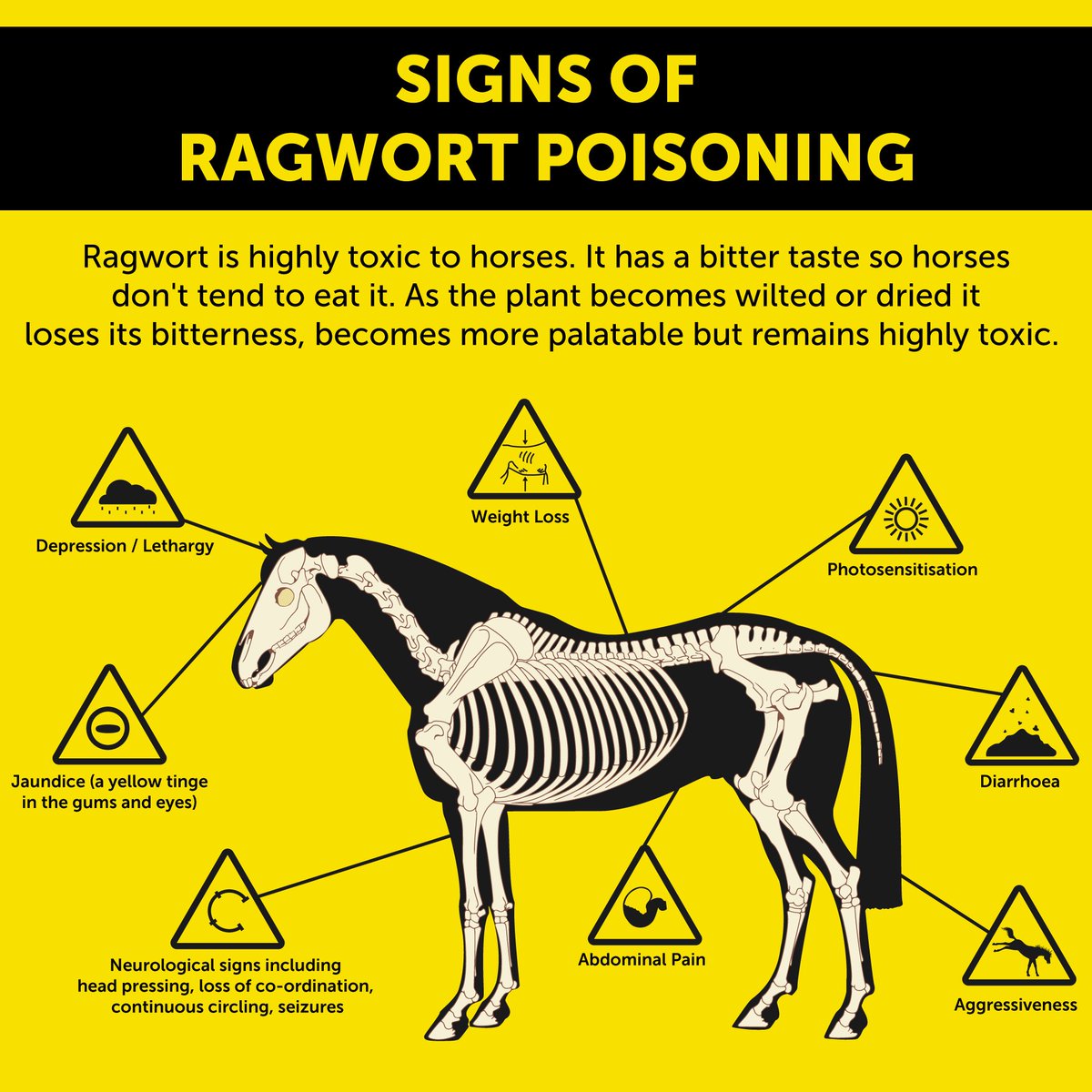 PernilleSKN tweet media