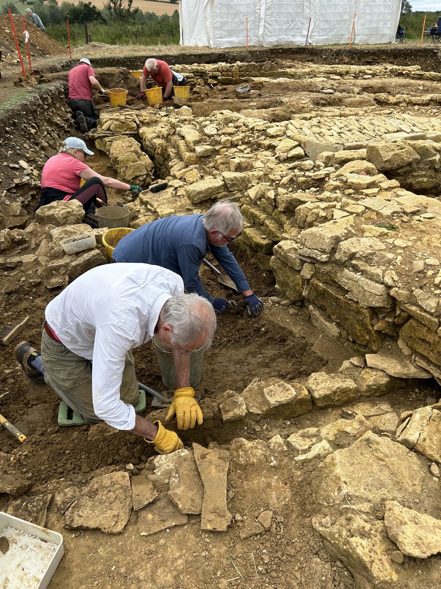 Final week of this session on the medieval manor dig. Certainly was a substantial, possibly fortified, manor with pottery dating from the Norman period. Walls well preserved and more shooting off in all directions suggesting a larger complex. More to explore next time