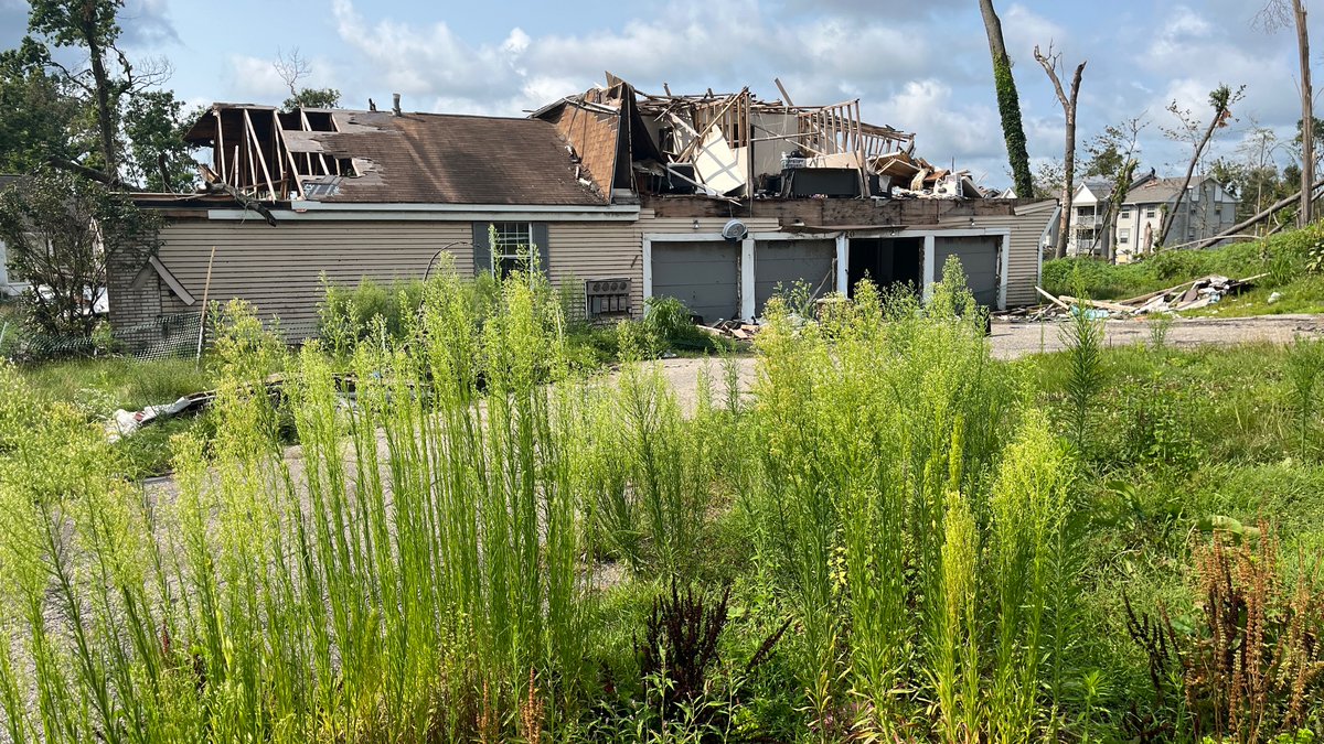 Jim Sutton tweet media