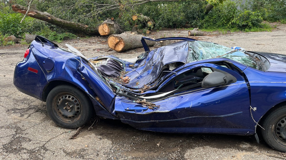 Jim Sutton tweet media