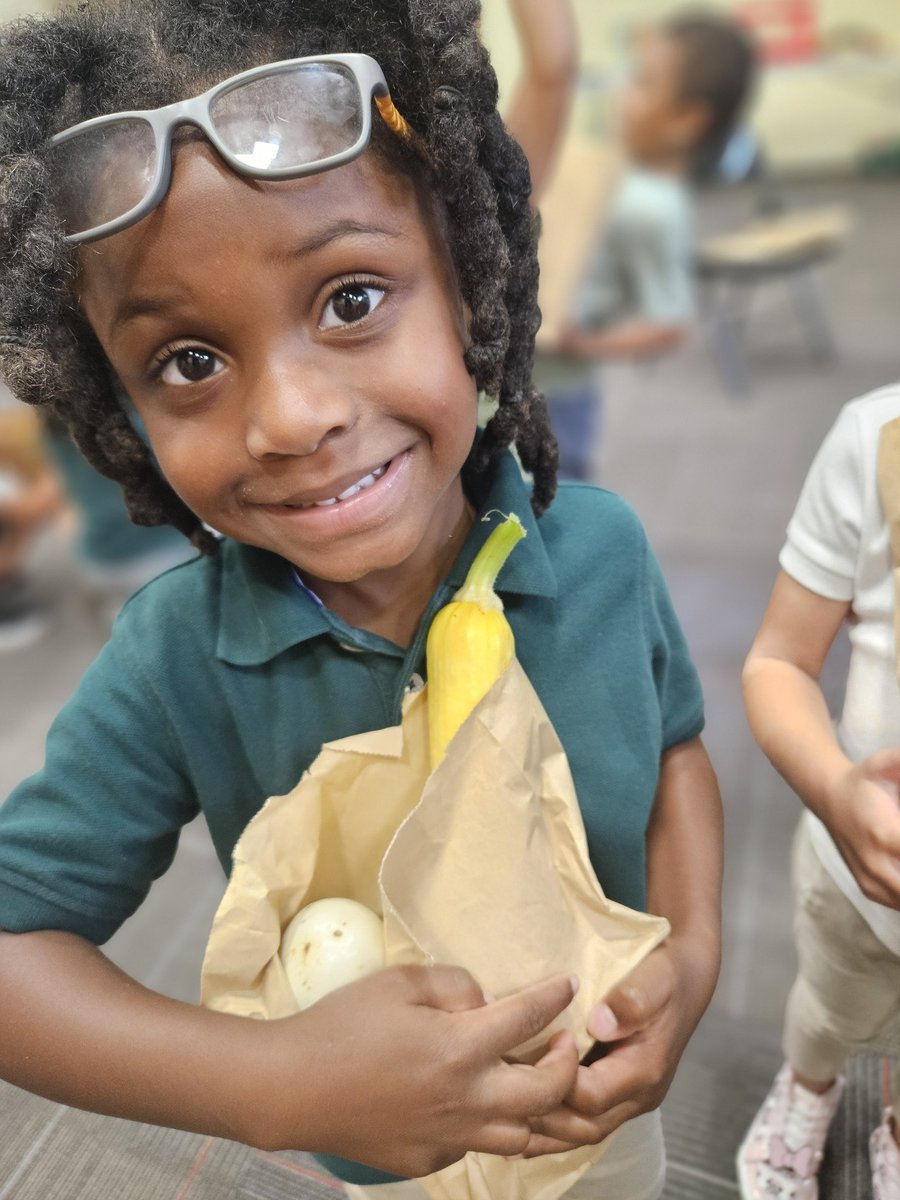 Meghann Southwood tweet media