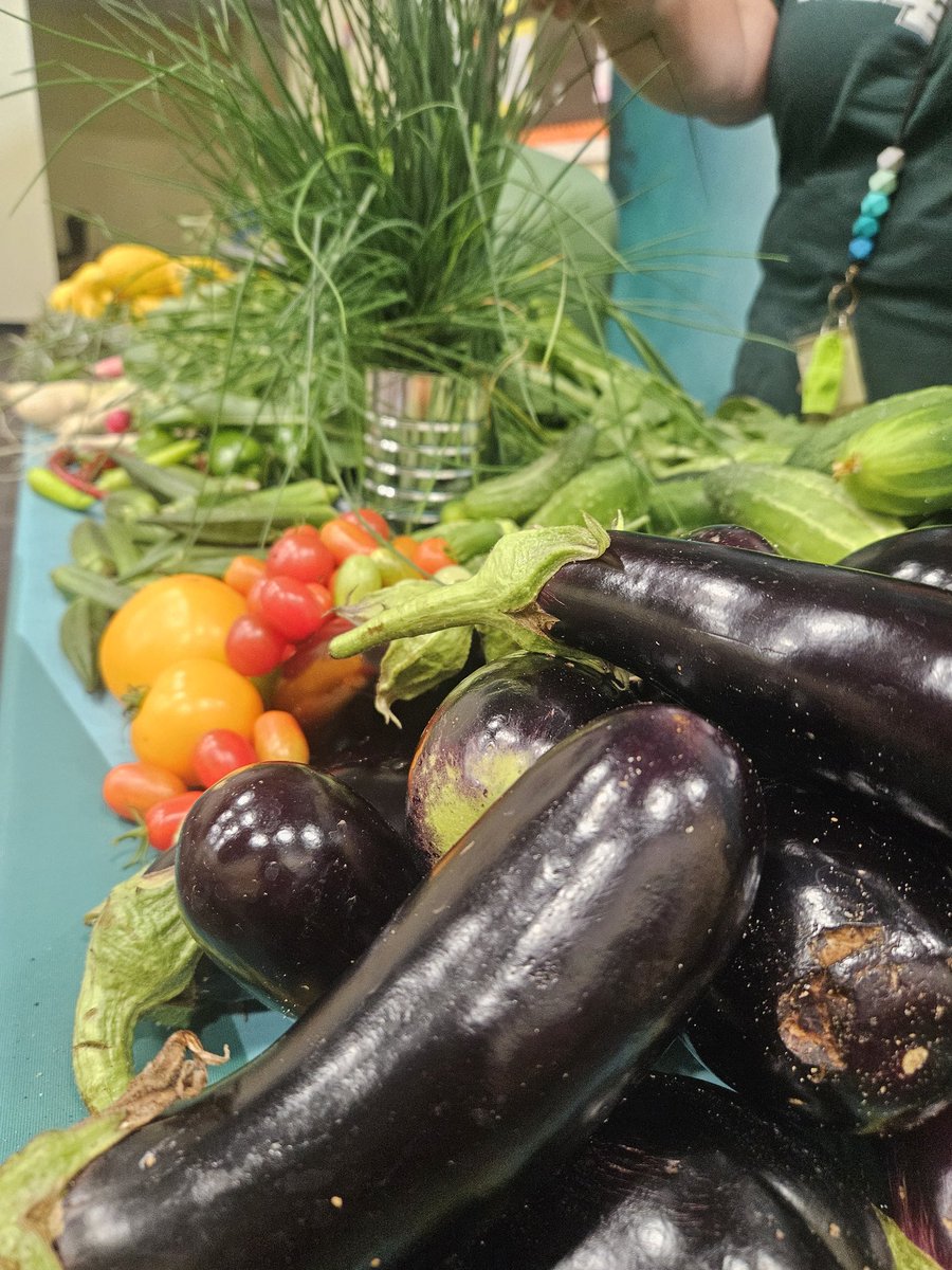 Thank you, Ms. Stone for the awesome lesson today &amp; giving our Prek 4 Summer Campers an opportunity to pick out and take home veggies from the <a href="/greener_glc/">GLC GREENER</a> gardens!  <a href="/LBpublicschools/">Long Branch Public Schools</a> <a href="/LBPSRILEY/">Frank Riley</a> <a href="/LBSuptRodriguez/">Francisco E. Rodriguez</a> <a href="/lb540studio/">LBPS Studio & Sustainability</a>