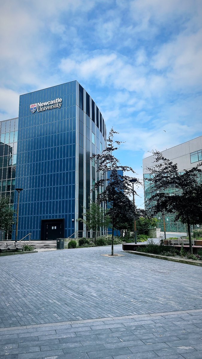 BERNARD INTERIORS tweet media