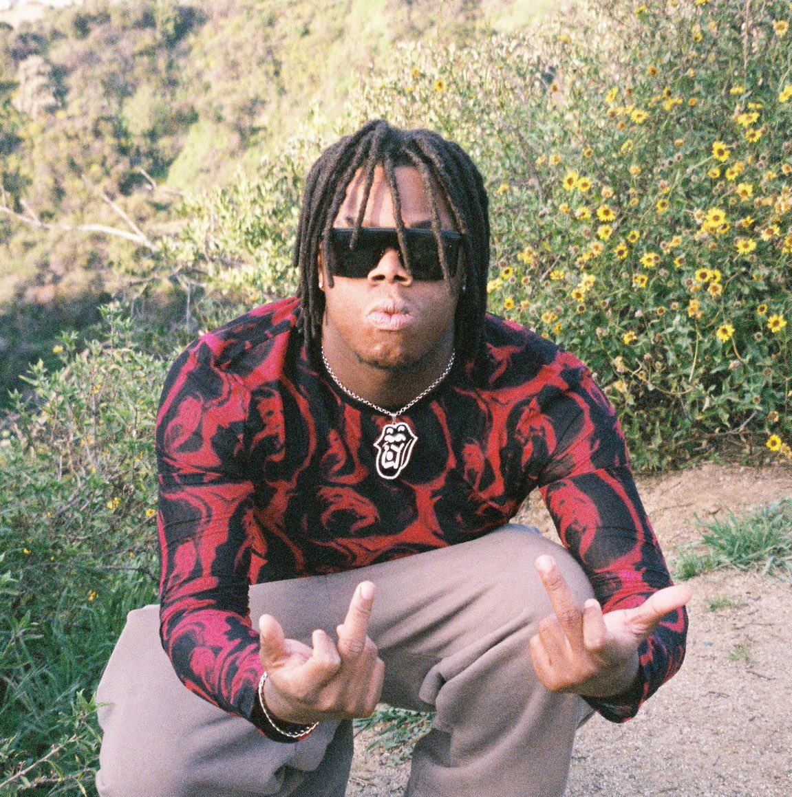 ryan 🤿 tweet media