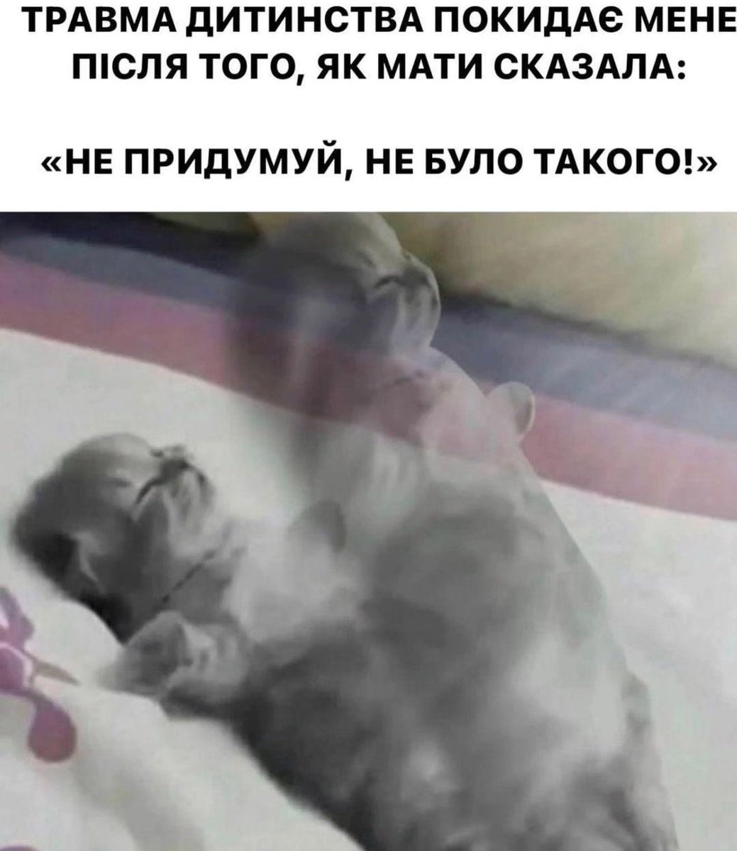 canisbandera's tweet photo. Я https://t.co/y3uJjOrrDp