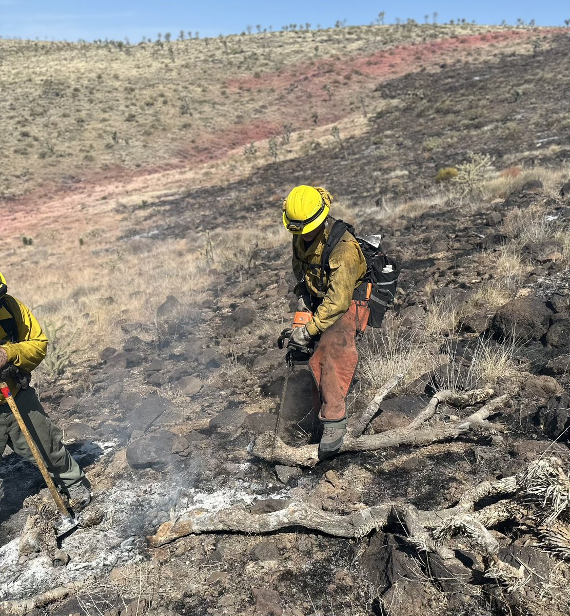 azstateforestry's tweet photo. π₯#ButcherFire Update: A recon flight this morning has mapped the fire at 654 acres. The fire burned on both private and BLM land. The Escudilla crew hiked in this morning and is working alongside a Golder Ranch engine currently assigned to respond to new wildfires in the state. Retardant dropped yesterday was successful in preventing further spread. It is expected to take a couple days to complete mop-up on the fire.
π35 miles north of Kingman and 5 miles north of Dolan Springs.
#AZFire #AZForestry #MohaveCounty
π· Escudilla crew uses a chainsaw and tools during mop up operations.