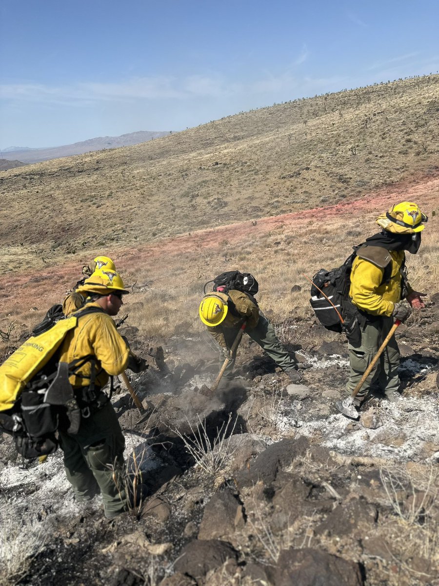 azstateforestry's tweet photo. π₯#ButcherFire Update: A recon flight this morning has mapped the fire at 654 acres. The fire burned on both private and BLM land. The Escudilla crew hiked in this morning and is working alongside a Golder Ranch engine currently assigned to respond to new wildfires in the state. Retardant dropped yesterday was successful in preventing further spread. It is expected to take a couple days to complete mop-up on the fire.
π35 miles north of Kingman and 5 miles north of Dolan Springs.
#AZFire #AZForestry #MohaveCounty
π· Escudilla crew uses a chainsaw and tools during mop up operations.