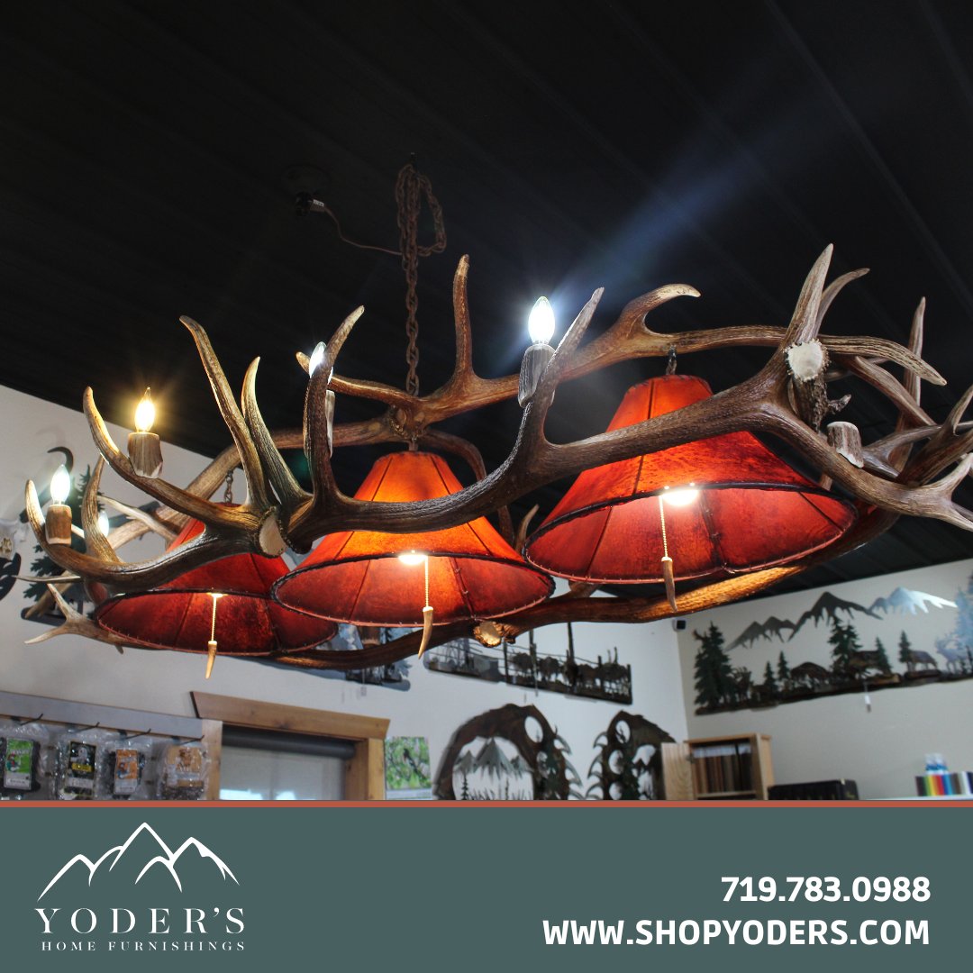 furnitureyoder's tweet image. 🏠✨ Searching for unique decor for your cabin or home? Our elk antler chandeliers are flying off the shelves (or ceiling)! 🦌💡 

Visit us today to snag your one-of-a-kind piece. Shop Yoder’s for all your cabin and home decorations! 

#YodersHomeFurnishings #Westcliffe