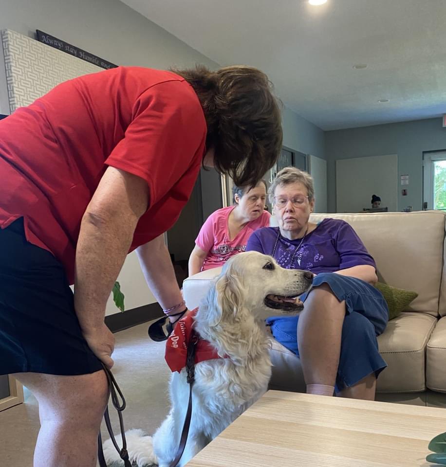🐾☕️ Central Perk, always looks forward to Buck's visits! 

This adorable pup brightens our day with his wagging tail, playful energy and brings joy to everyone he meets. 🐶💛

#DogLife #BuckTheDog #CentralPerk #FurryFriends #WeareCLB #CreateLeadBelieve