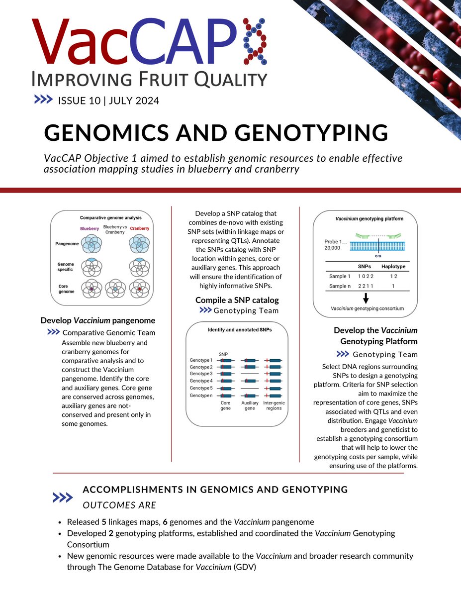 This special edition newsletter highlights Objective 1 accomplishments, impact, and ongoing work. The aim of Objective 1 was to expand availability and use of genomic and genotyping resources in blueberry and cranberry research and breeding programs. bit.ly/3Si5eIA