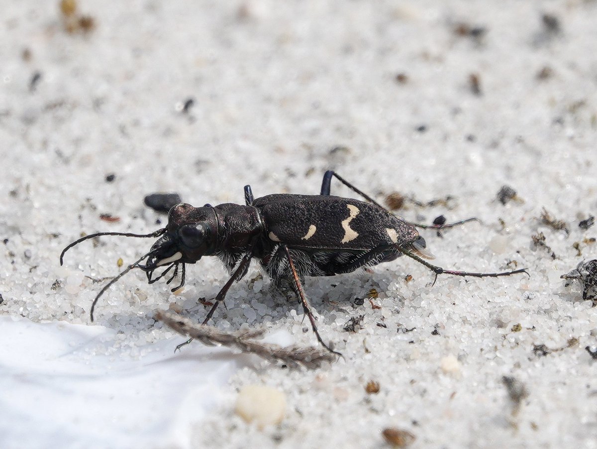 lyn lambert💙💛🇺🇦 tweet media