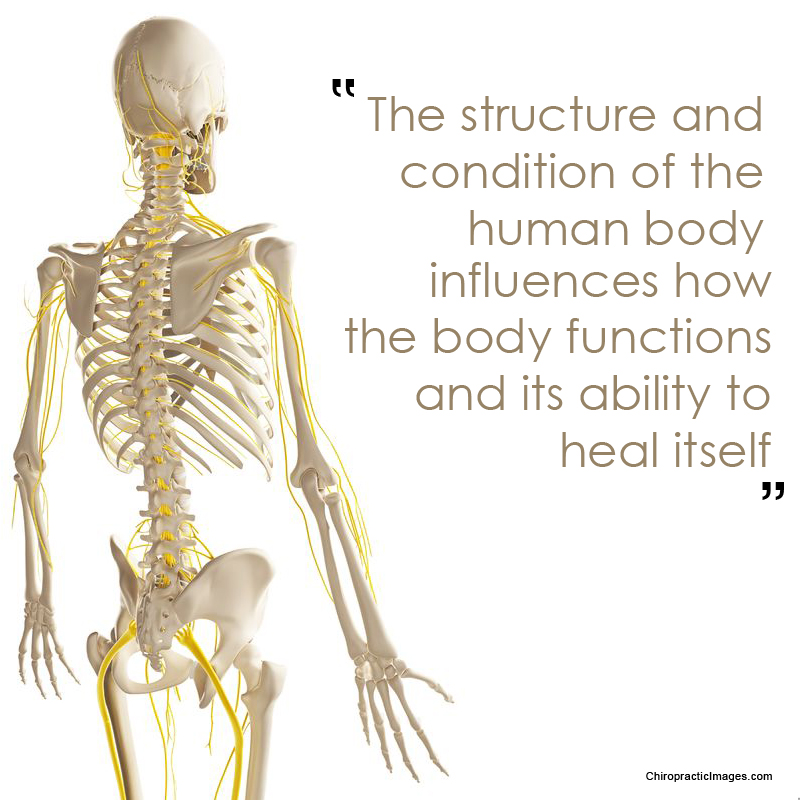 BeTrulyWell's tweet image. #TheBody #Healing #BodyFunction #Healing #Health #Wellness