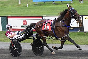 Dalgety riding the wave

Carter Dalgety has needed little time to make a big impression.
bit.ly/46eUoJ7

Lisa Photo
<a href="/HarnessKenW/">Ken Weingartner</a> 
#harnessracing