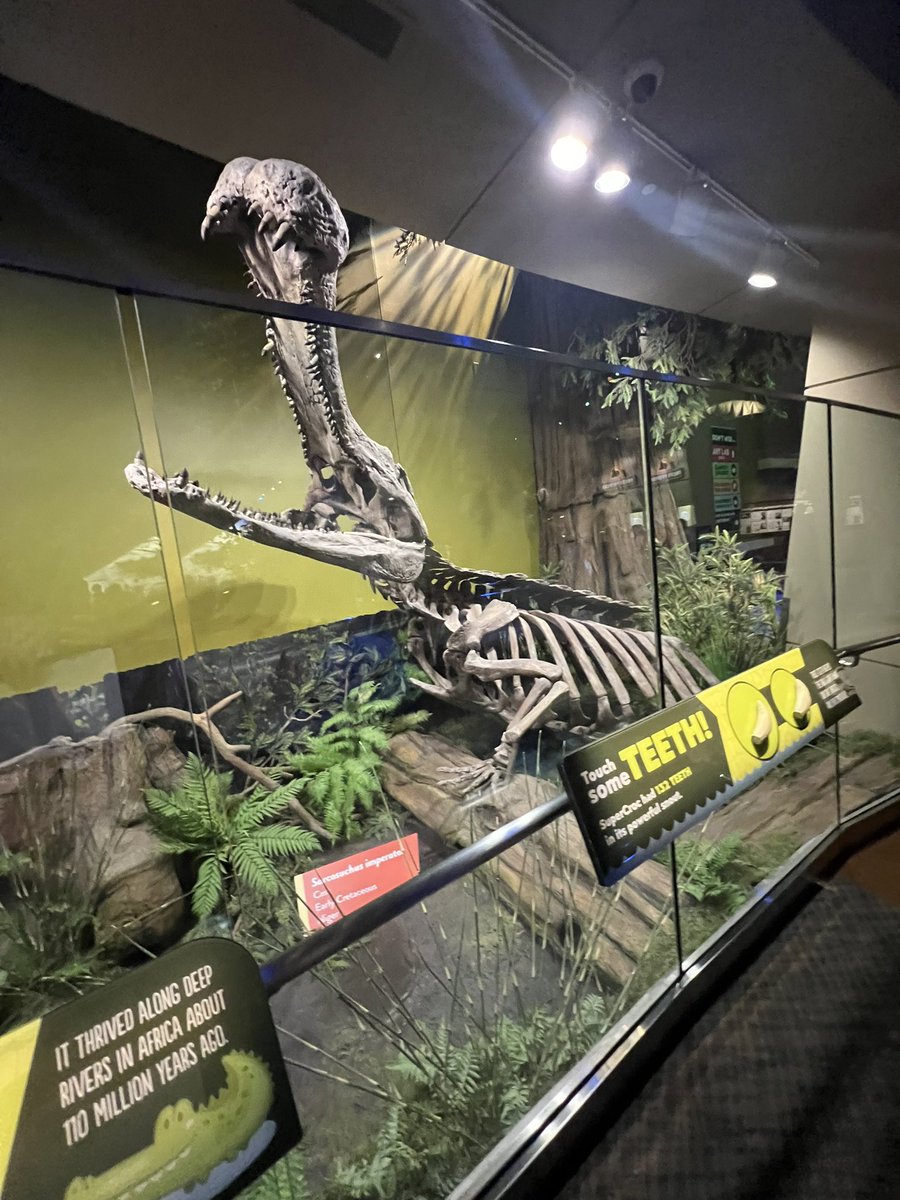 Cathy Hall tweet media