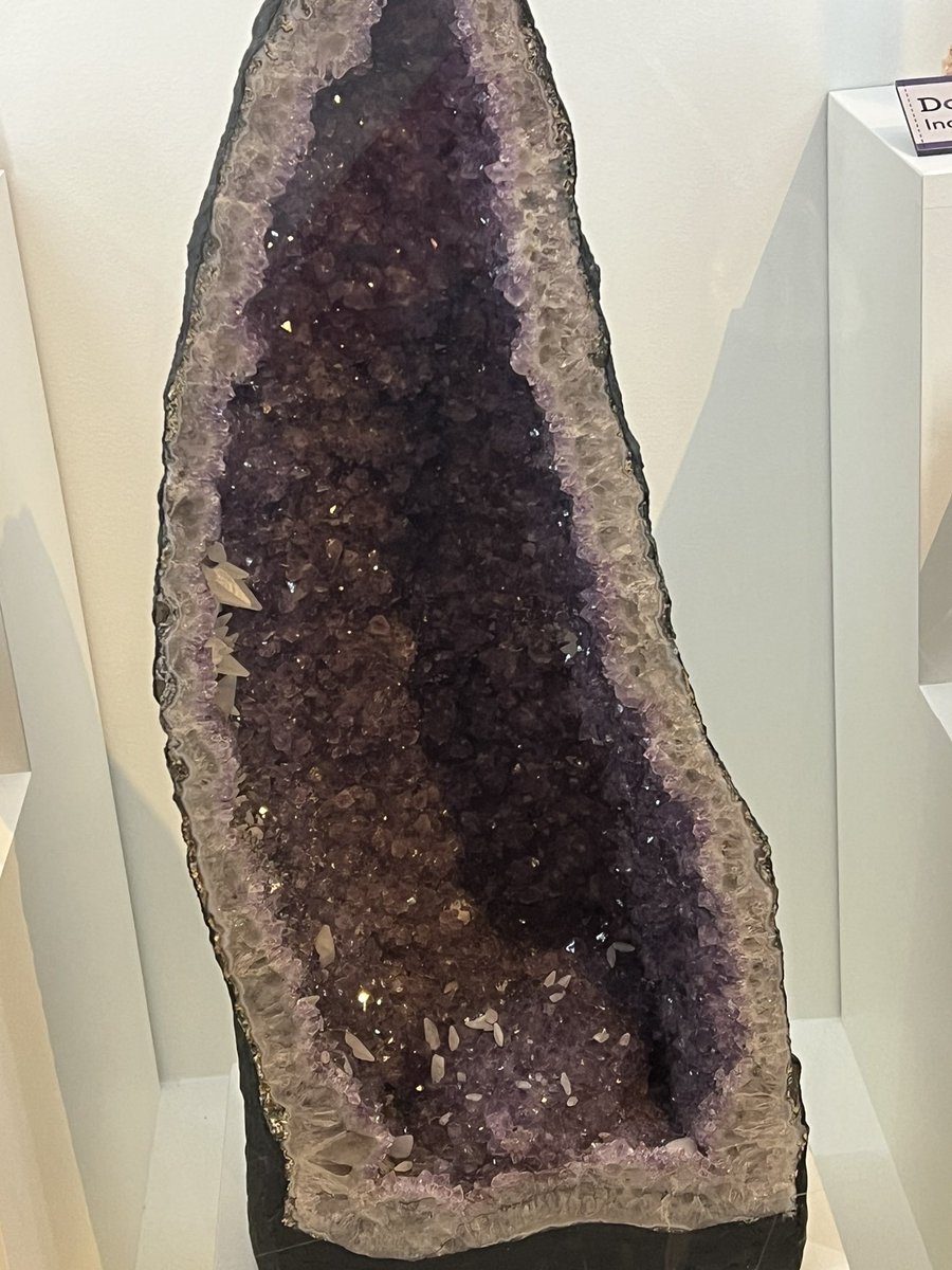 Cathy Hall tweet media