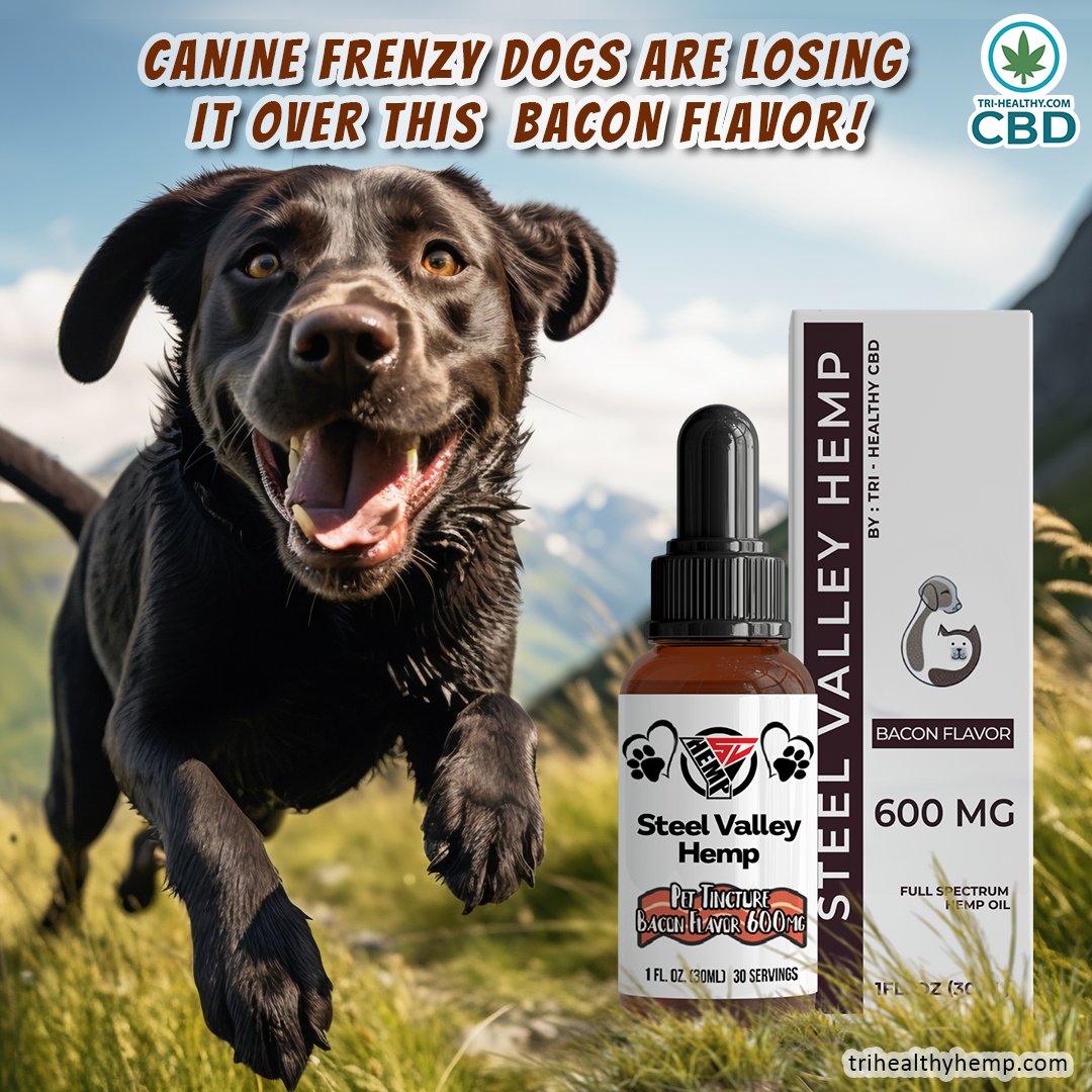 THCOsprey's tweet photo. Dogs are losing it over Steel Valley Hemp Full Spectrum Tincture Oil Pets 600 Bacon Flavor! Find it at Tri-Healthy CBD. #PetHealth #CBDForPets #BaconFlavor #TriHealthyCBD https://t.co/XnPCLaw3dr